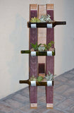 Floor Standing Bottle Garden Display for Succulents/Cacti