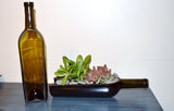 Floor Standing Bottle Garden Display for Succulents/Cacti
