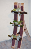 Floor standing bottle garden display for succulents/cacti