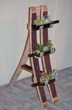 Floor Standing Bottle Garden Display for Succulents/Cacti