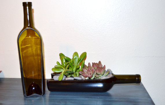 succulents in a bottle Floor Standing Bottle Garden Display for Succulents/Cacti – The Winey Guys